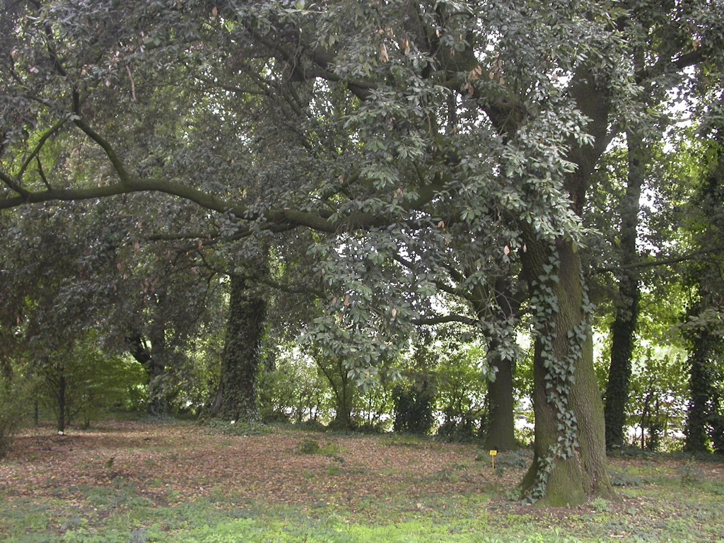 IMOLA La Babina DSCN2489